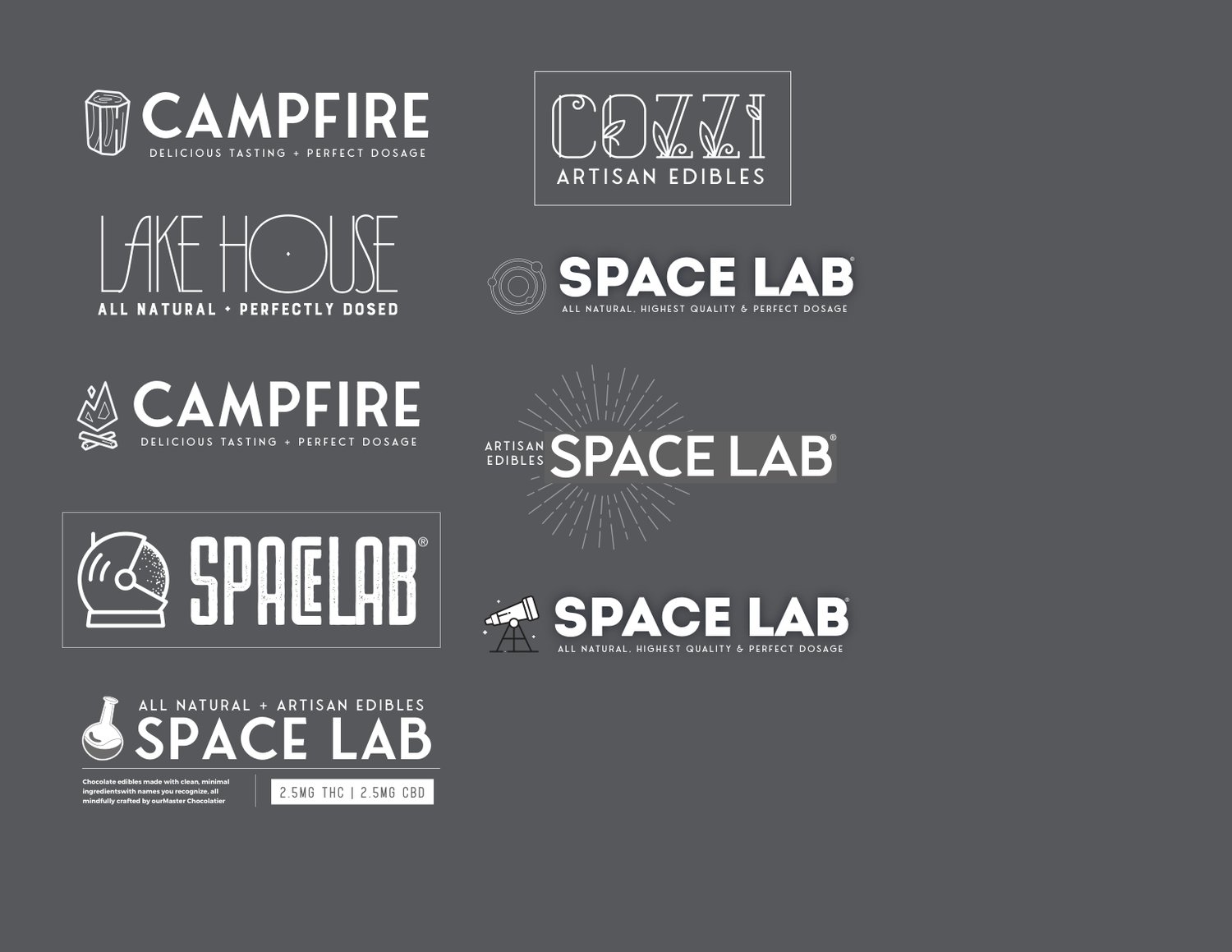 Lockup grid — Campfire, Cozzi, Lake House, and Spacelab wordmarks tested side by side
