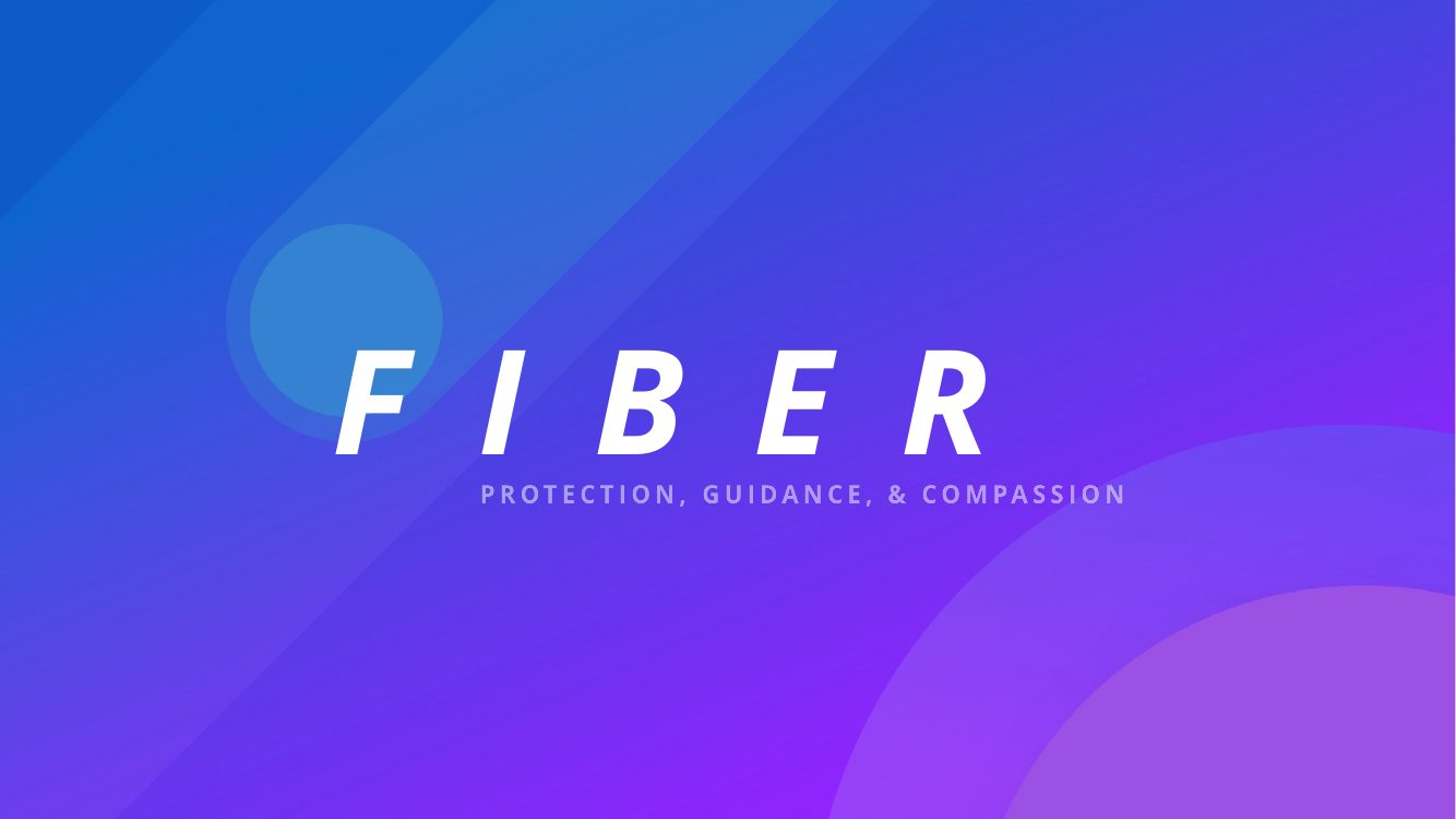 The FIBER guide — cover of the system presentation.